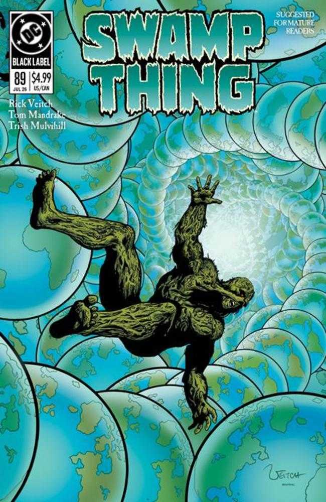 Swamp Thing 1989 #2 (Of 4) Cover A Rick Veitch (Mature)
