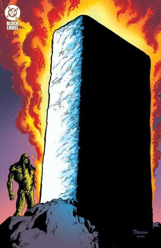 Swamp Thing 1989 #3 (Of 4) Cover B Rick Veitch Foil Variant (Mature)